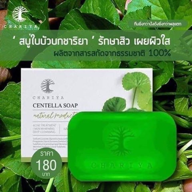 Chariya Centella asiatica soap to reduce acne scars, wrinkles, oiliness ...