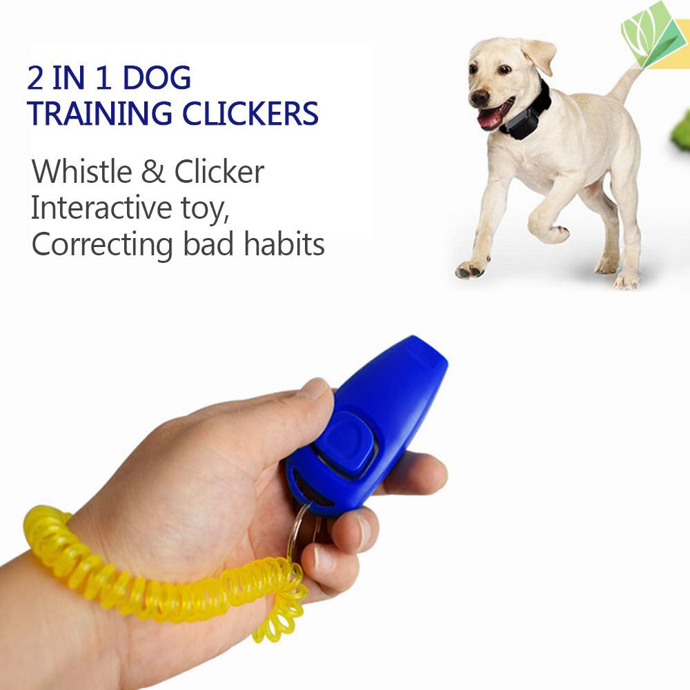 Dog_clicker_training | Etolia Etologu00eda Veterinaria