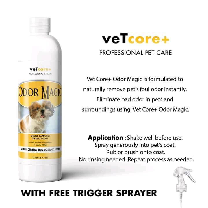 How To Eliminate Bad Odor In Dogs