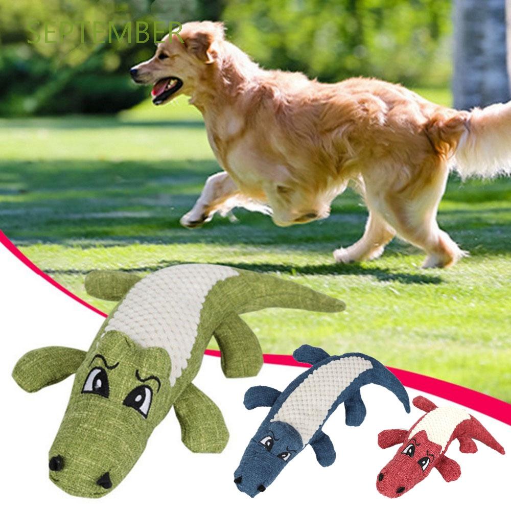 sporting dog supplies