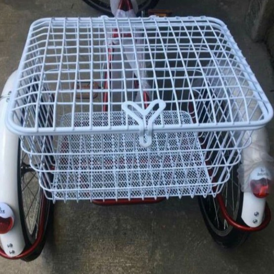 basket for 3 wheel bike