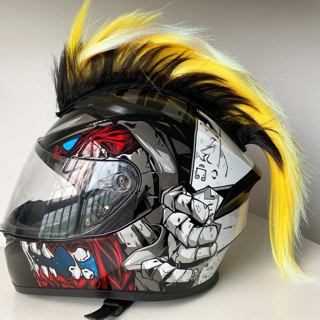 snowboard motorcycle helmet