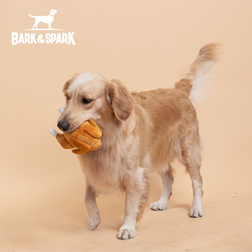 Bark and Spark Soft Dog Toys for Puppy, Small, Medium and Big Dogs #2