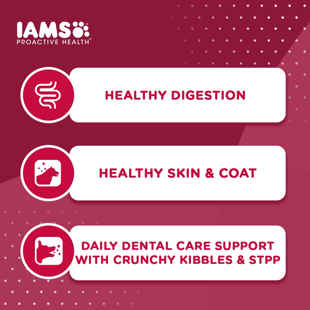 （hot sale）IAMS Proactive Health – Premium Dog Food Dry for Small Breed Adult Dogs, 1.5kg. #3