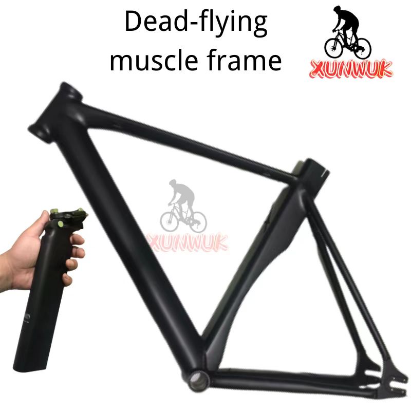 Xunwuk fixed gear 700c aluminum alloy singlespeed frame, deadflying