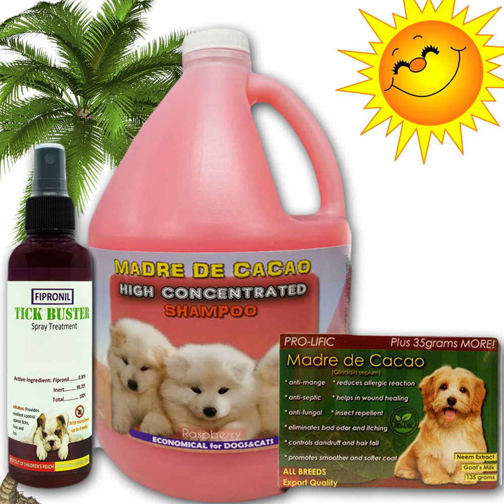 all for dogs pet services