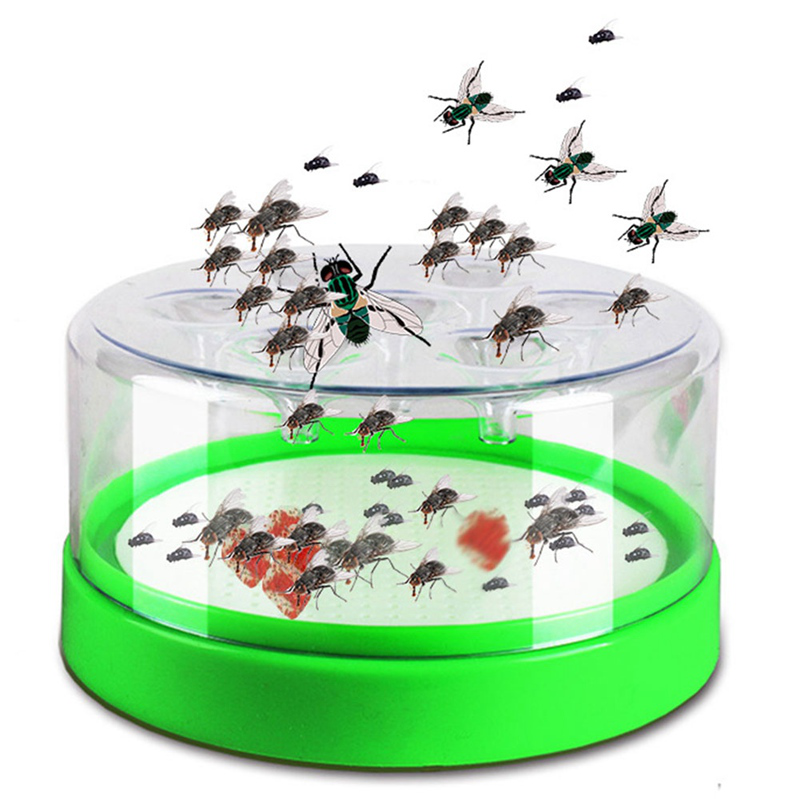 green fly trap