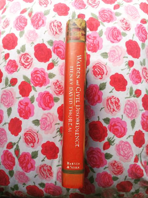 Walden And Civil Disobedience By Henry David Thoreau Hb Barnes