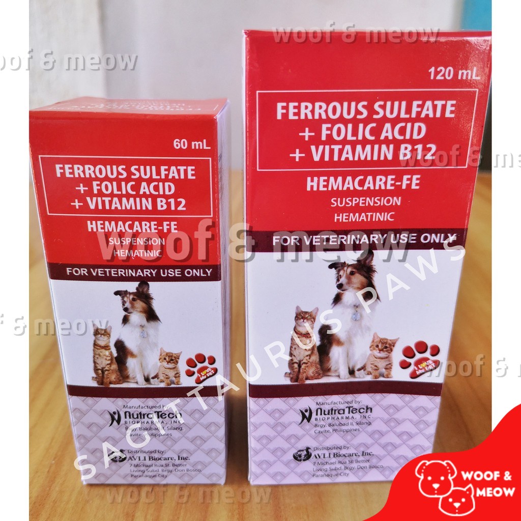 Can Dogs Take Ferrous Sulfate