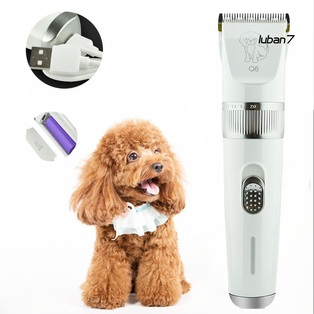 poodle hair trimmer