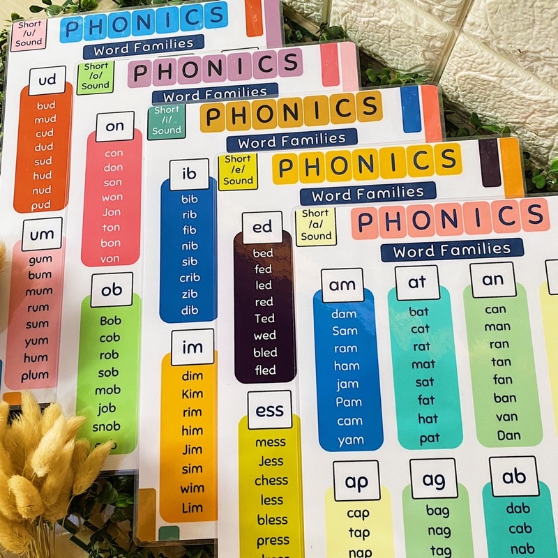 SHORT and LONG VOWELS SET PHONICS BUNDLE Reading Laminated Charts A4