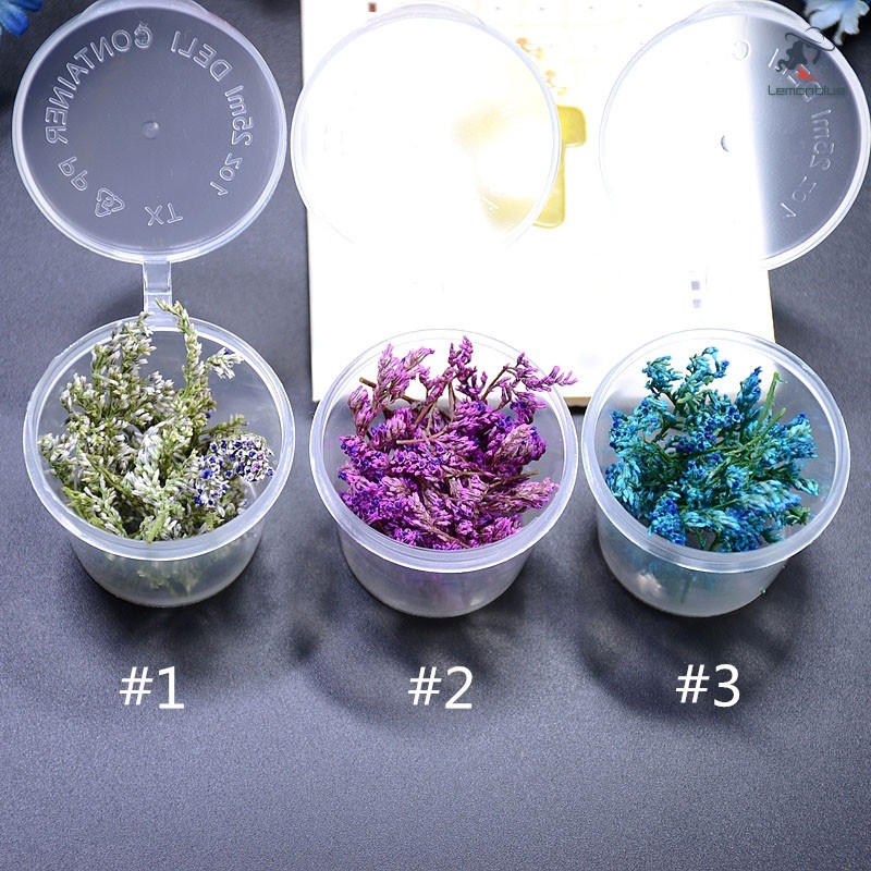 Preservedflower 1 Box Sea Lavender Dried Flowers Preserved ...