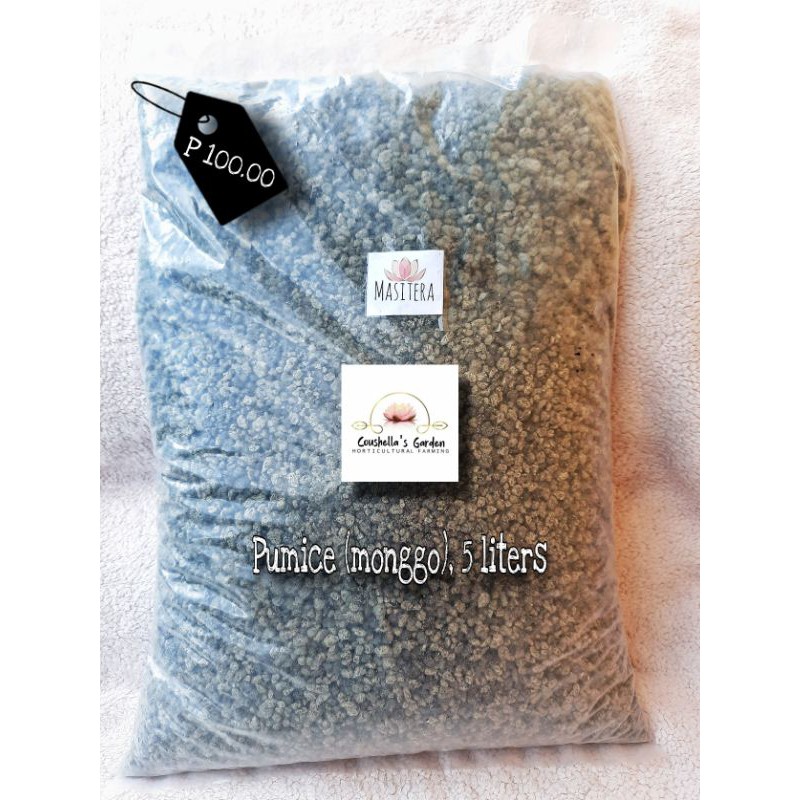 Pumice (monggo) by MASITERA, 5L | Shopee Philippines