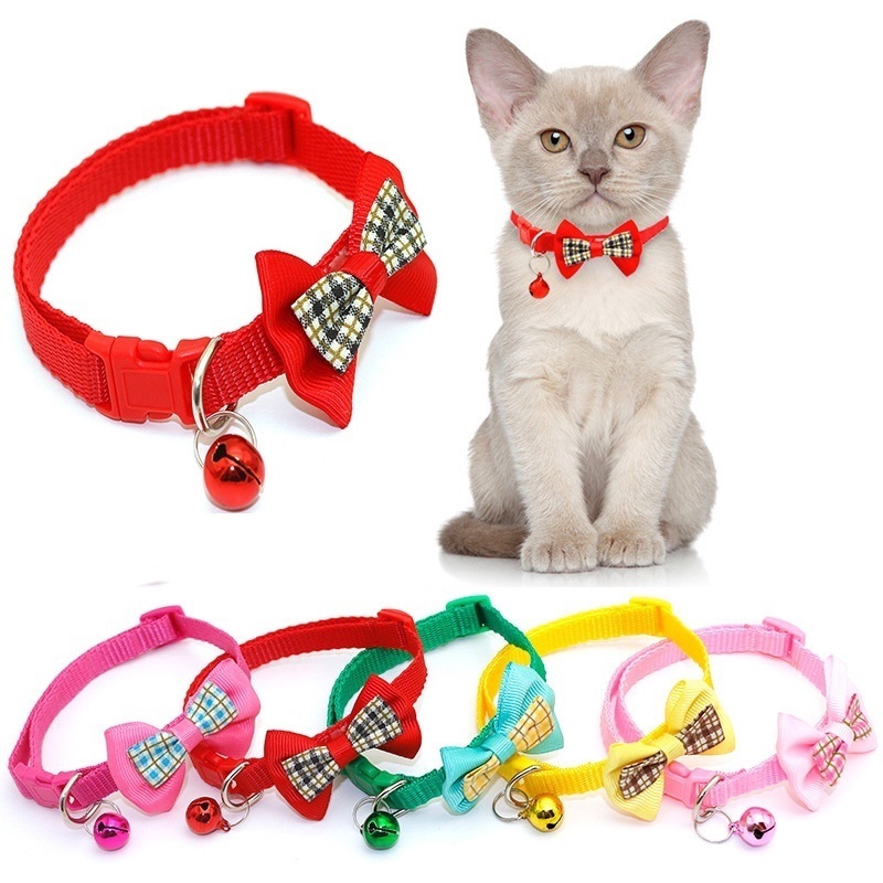 kitten collars