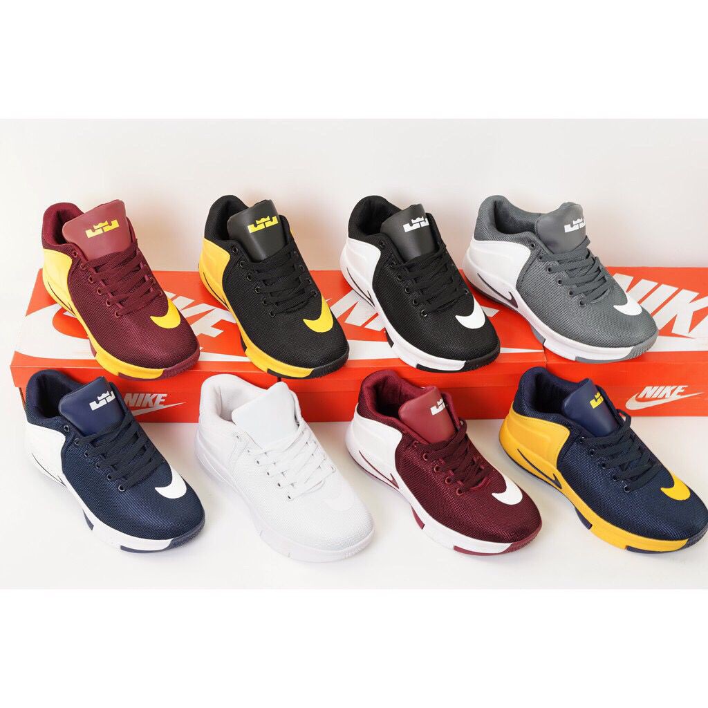 nike lebron james witness shoes