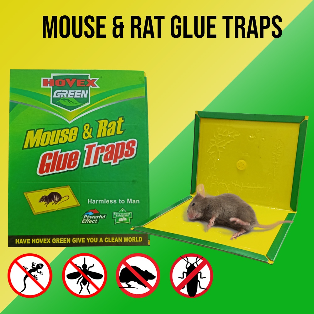 non-toxic-super-sticky-rat-glue-traps-board-snake-bugs