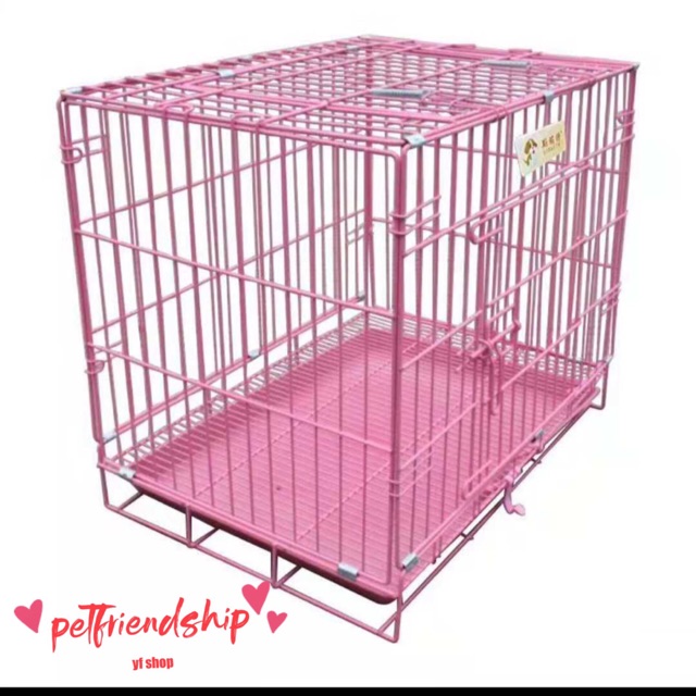 heeler terrier mix puppies