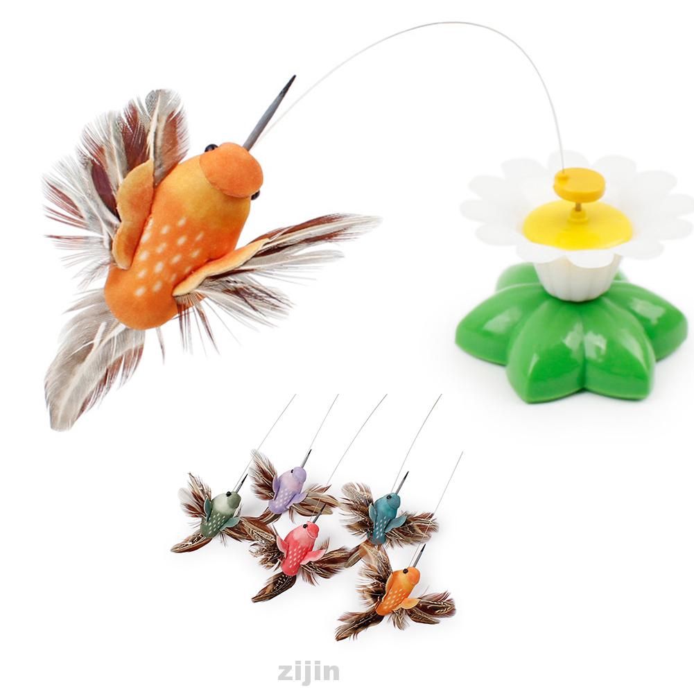 battery operated butterfly cat toy