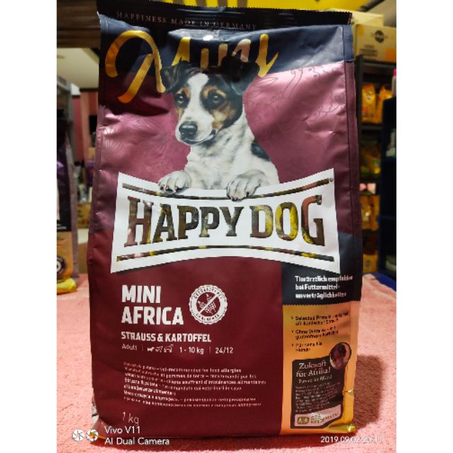 happy dog mini africa