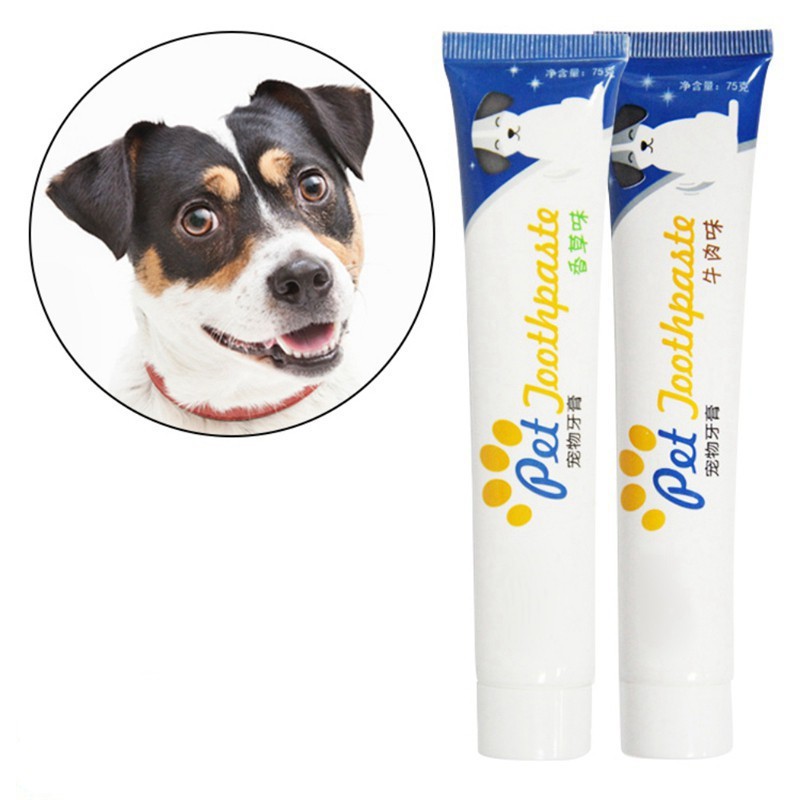 Pet Teeth Cleaning Supplies Cat Dog Healthy Edible Toothpaste for Oral