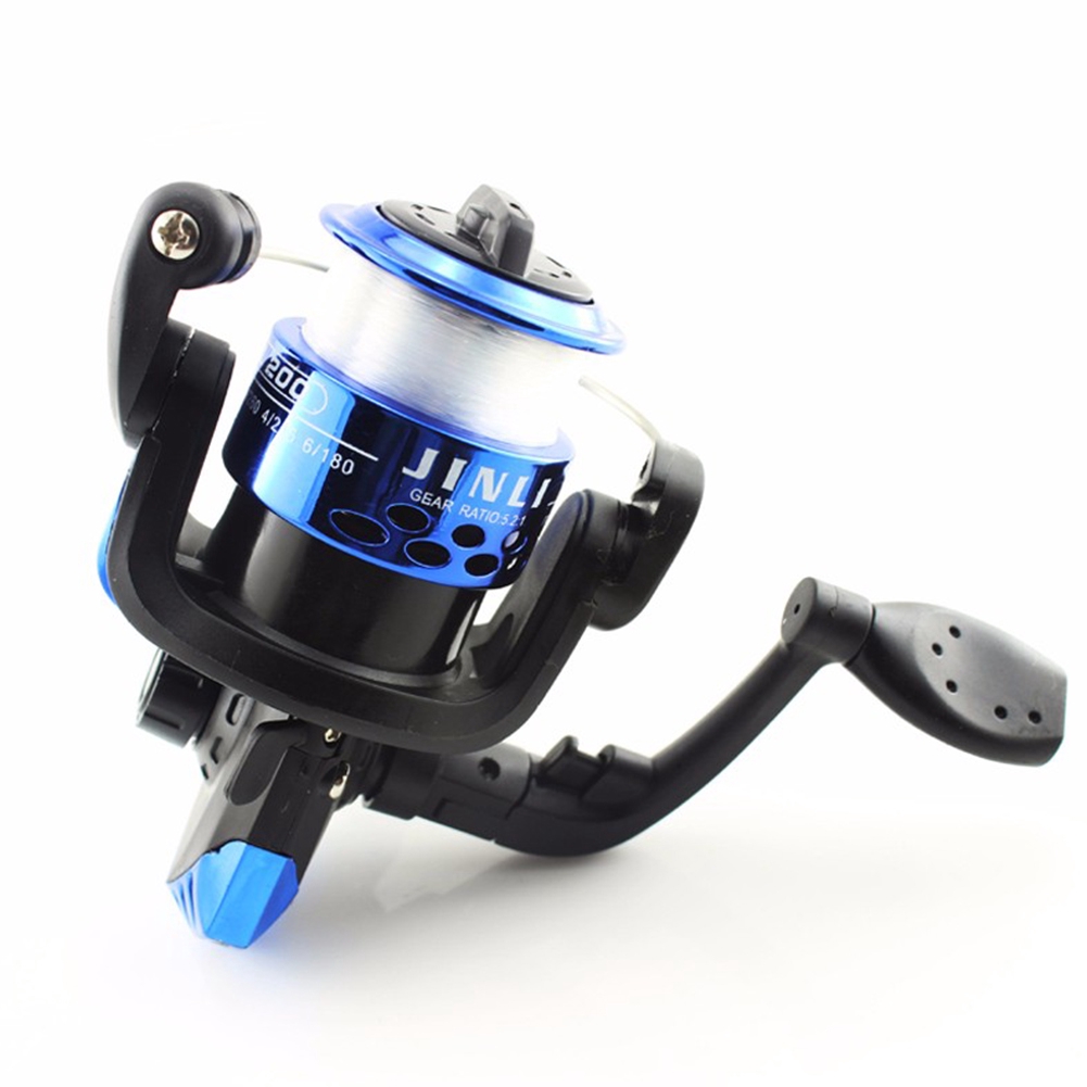 fishing rods and reels