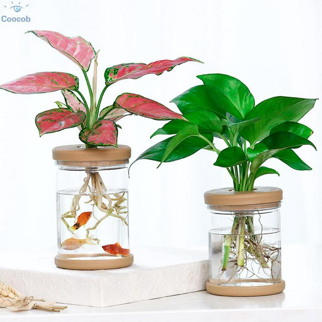 2pcs Clear Self Watering Pot Planter For Indoor Outdoor Plants Flowers Herbs Set 