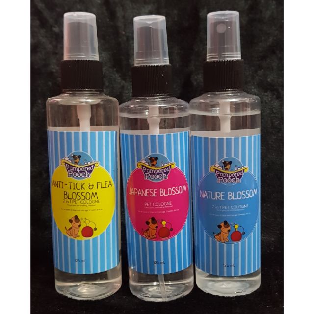 pampered pooch hours