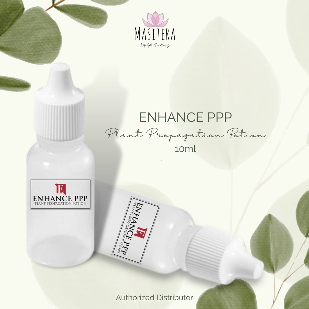 ENHANCE PPP PLANT PROPAGATION POTION Shopee Philippines
