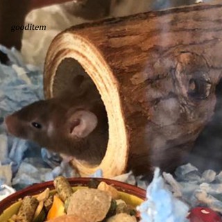 GDTM_Pet Hamsters Mouses Wood Tunnel Tube Hollow Tree Trunk Teeth Grinding Chew Toy #5