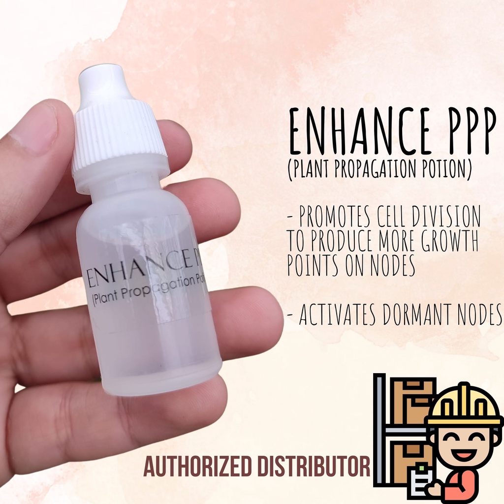 ENHANCE PPP Plant Propagation Potion 10ML 50 Drops By Pinky Spikes