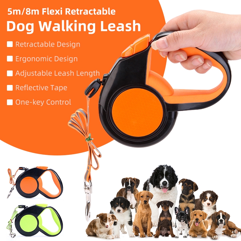 orange retractable dog leash