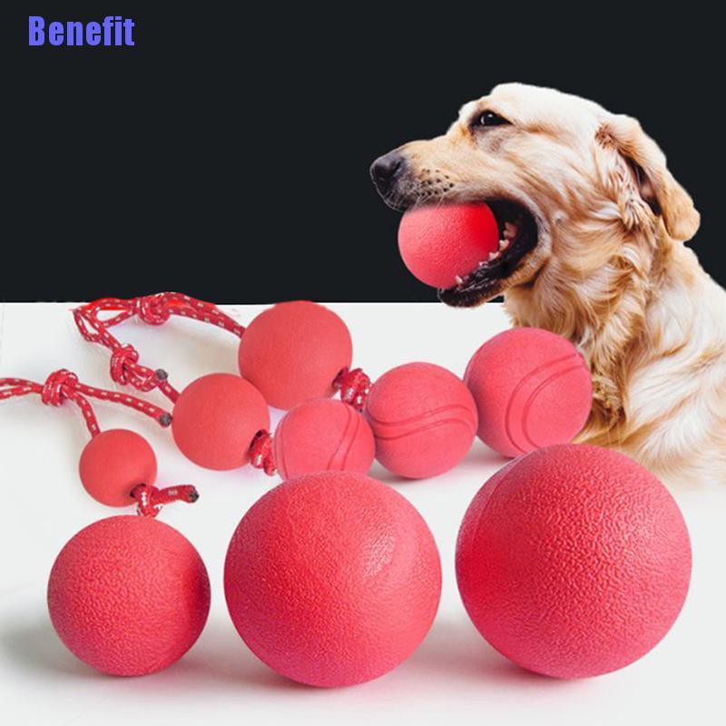 bouncing ball for dogs