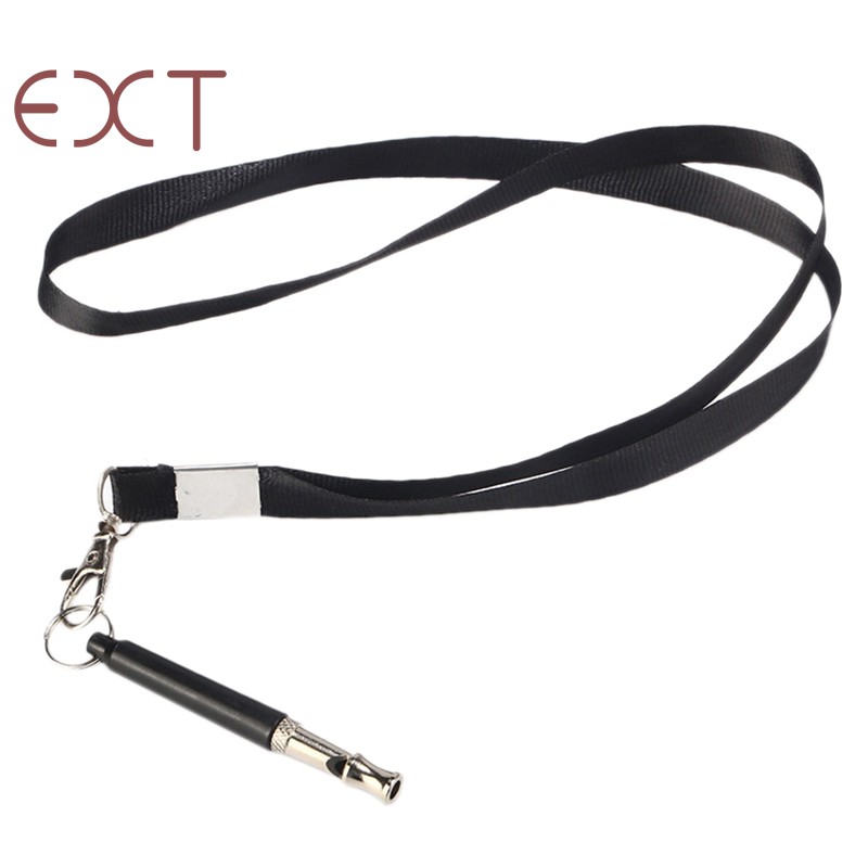 becoming a certified dog trainer