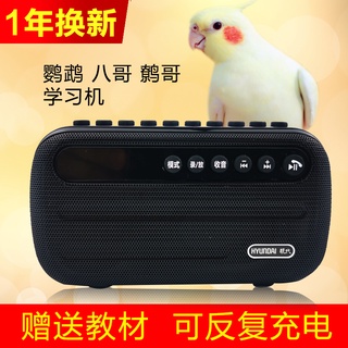 Birds use learning machine parrot learning phone starling learning talking machine mynah recording r