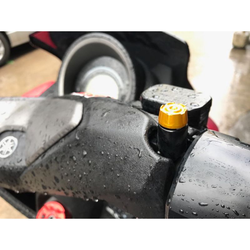 QLT NMAX V1 Side Mirror Bolts V5 Shopee Philippines