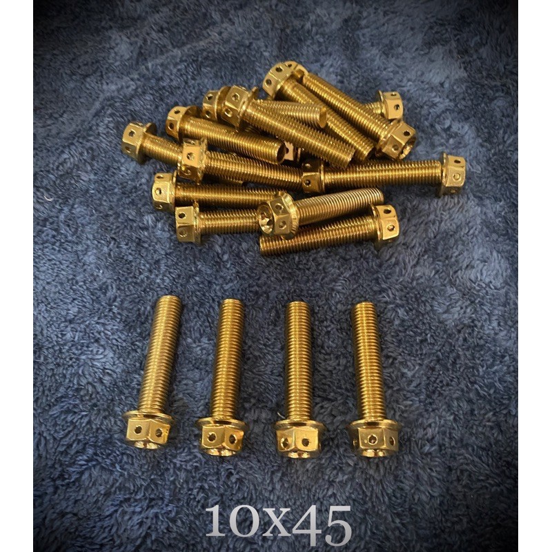 10x45 HENG GOLD BOLTS SOLD PER PC Shopee Philippines