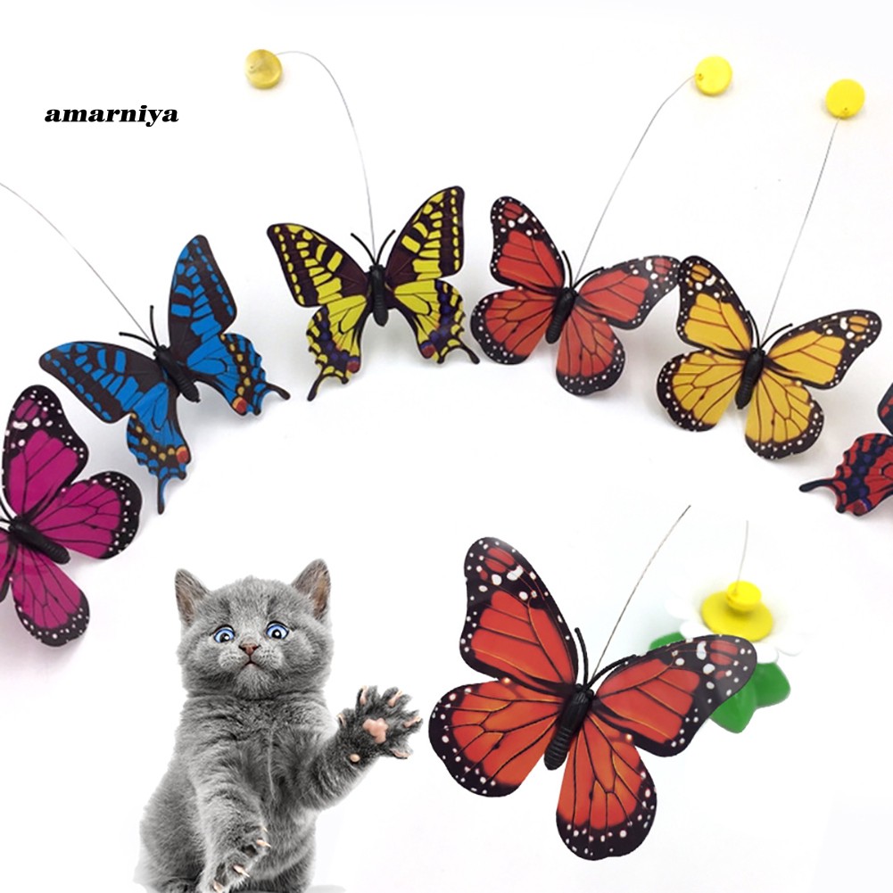 battery operated butterfly cat toy