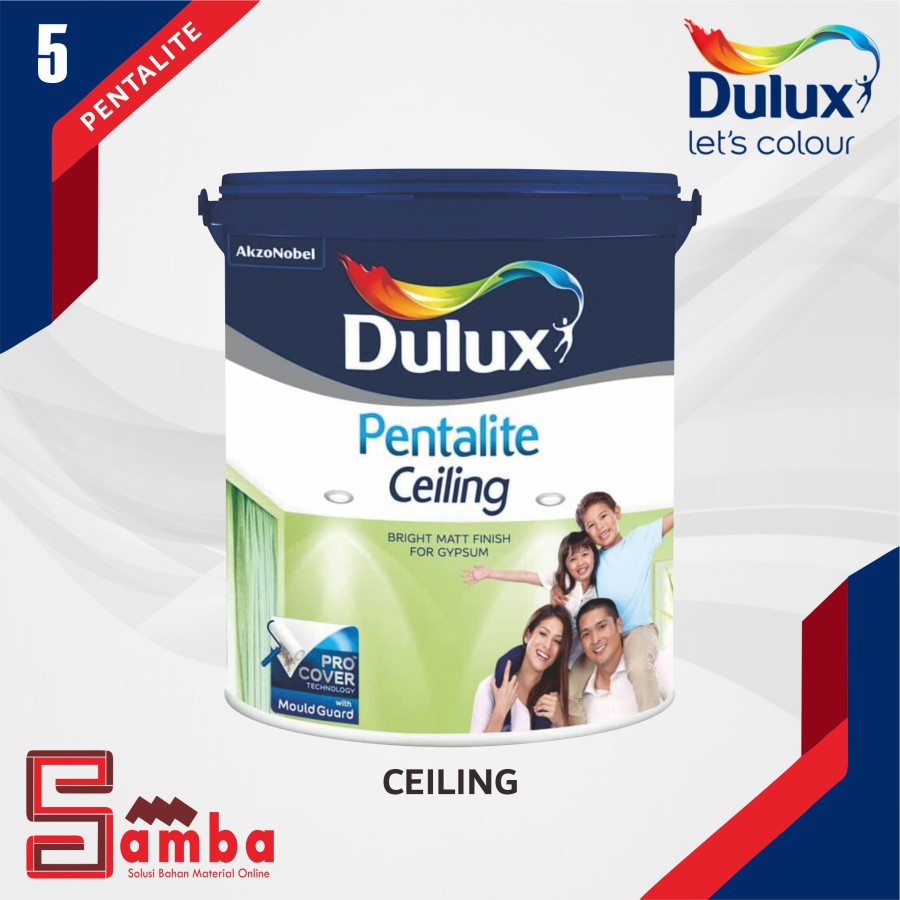 Dulux Pentalite Ceiling 5 Kg / Gypsum Special Paint Shopee Philippines