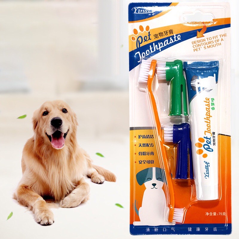 Dog toothpaste and brush