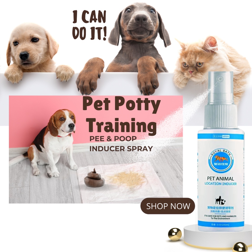 HAPPY BALAI Pet Potty Training Spray | Pee & Poop Inducer Spray for ...