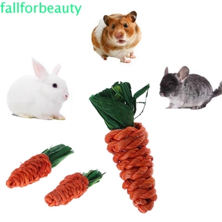 FALLFORBEAUTY 3pcs/set Chew Toys Playing Pet Supplies Bite Toys Bird Toy Guinea Pig Rat Parrot Rabbit Straw Tooth Cleaning