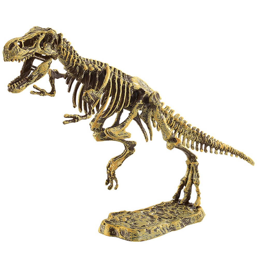 excavation dinosaur fossil kit
