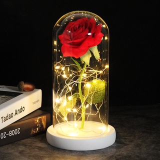 Middle Beauty And The Beast Rose Rose In Glass Dome Forever Pink Red Rose Preserved Rose Belle Shopee Philippines