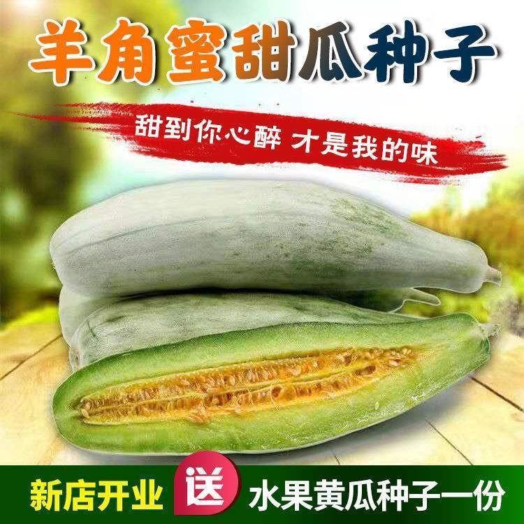 Cantaloupe Seeds Muskmelon Seeds Horn Honey Cantaloupe Crisp Super ...