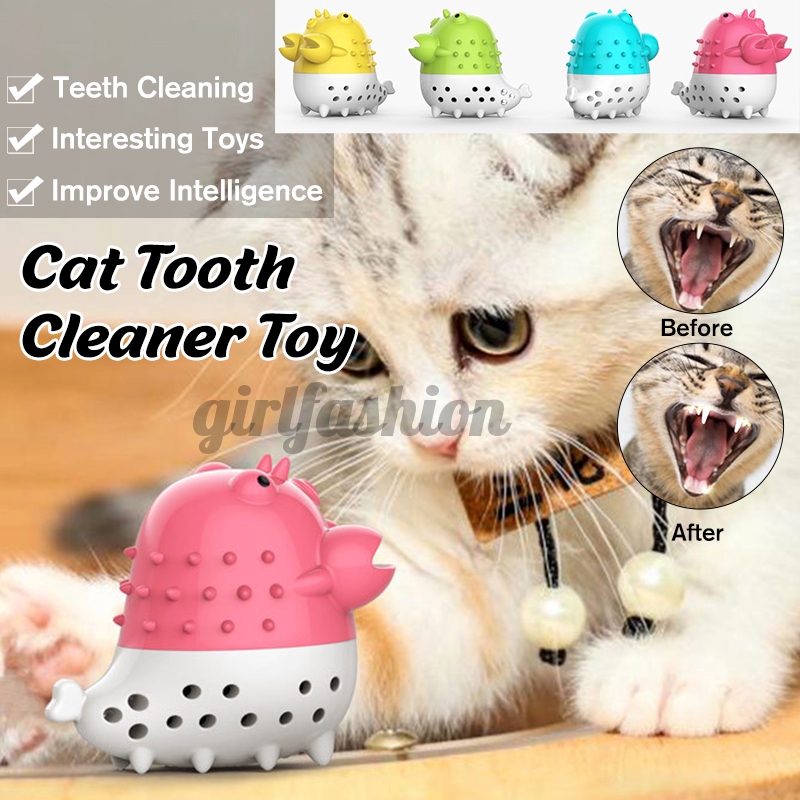 cat toothbrush toy