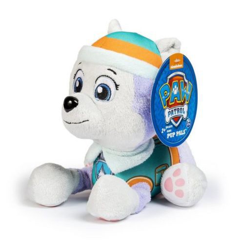 everest paw patrol pup