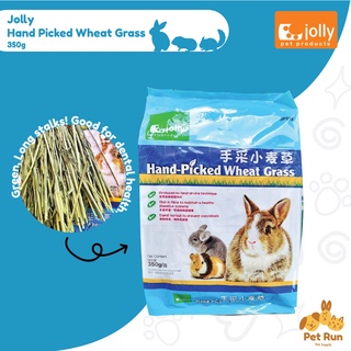 Jolly Hand-Picked Wheat Grass Hay 350g for rabbit, guinea pig, small pets