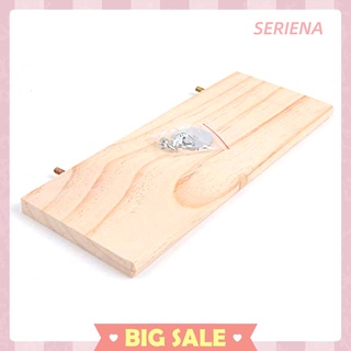 Wooden Stand Platform Pet Parrot Hamster Perches Paw Grinding Springboard #7