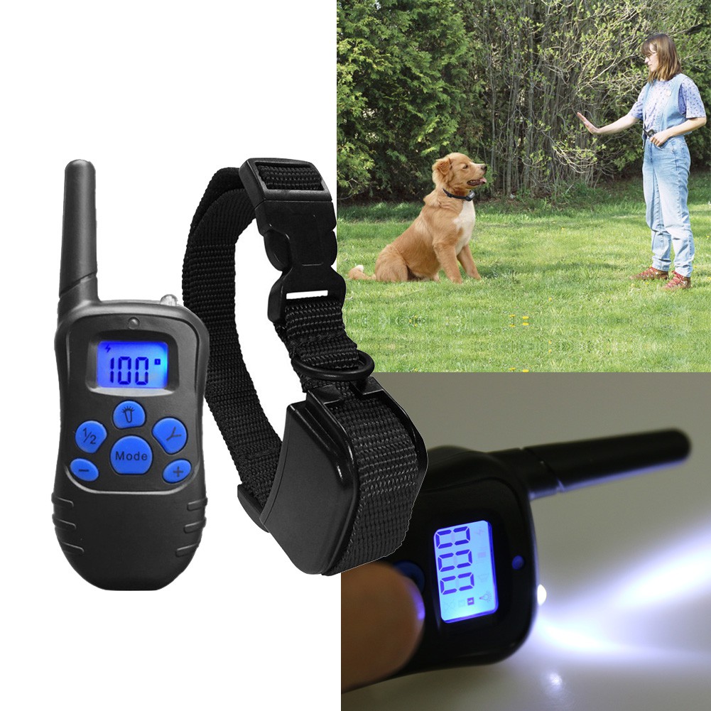 dog shock collar yard trainer