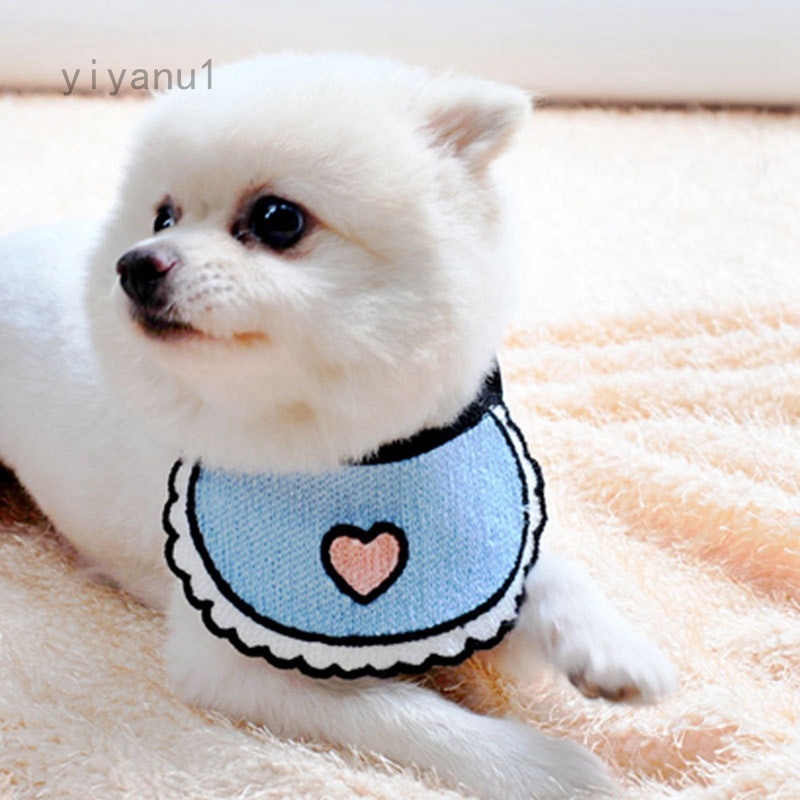 cat and dog accessories